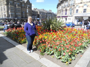 Harrogate flowers