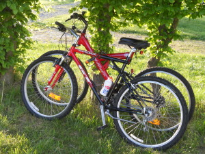 Our new bikes from a roadside house